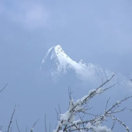 Rosenegg 3* فينكنبرغ