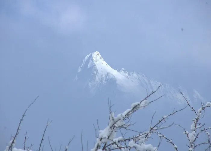 Rosenegg 3* Finkenberg